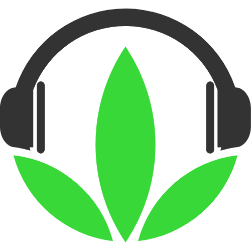 Pop Trading Co登陆首尔，携手七位滑手开启旅程（Pop Trading Co抵达首尔，联袂七位滑手启程）